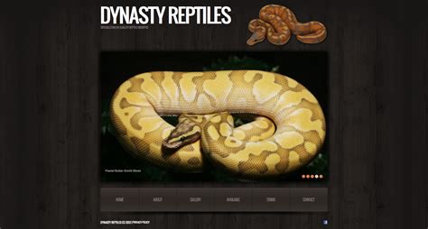 Dynasty reptiles reviews. Things To Know About Dynasty reptiles reviews. 